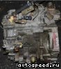 �������� Honda Logo (GA5): ���� �5