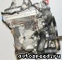 ��������� Volkswagen (VW) AEB: ���� �15