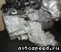 �������� Honda Mobilio Spike (GK2): ���� �3