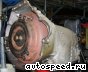 ���� Mercedes Benz C280 (202.028), W202: ���� �1