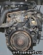 ��������� Opel Y17DT: ���� �7