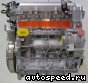 Двигатель Alfa Romeo 939 A6.000: фото №2