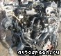 ��������� Volkswagen (VW) AFN, AHF, ASV, AVB, AVG: ���� �1