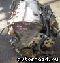 ��������� Peugeot RFR (EW10J4): ���� �1