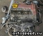  Opel X10XE:  11