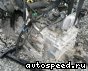 ���� Honda CR-V (RE4) MZHA: ���� �3