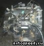 ���� Honda Odyssey (RA1): ���� �4
