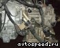 ���� Mazda MPV (LW3W), 2WD: ���� �4