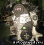 ��������� Volkswagen (VW) BFS: ���� �2