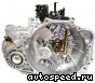 ���� Hyundai Trajet D4EA (43000-3A021): ���� �1