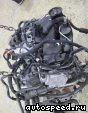 ��������� Volkswagen (VW) BKD, BKP, CBAA,CBAB,CBBB, CFFB, CFHC, CBEA, CBDB, CJAA: ���� �1