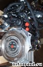 ��������� Volkswagen (VW) CDGA: ���� �8