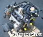 ��������� Volkswagen (VW) BLF: ���� �5
