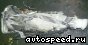 ���� Subaru Impreza (GG9), EJ204: ���� �5