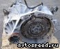 ����� Volkswagen (VW) Golf, Scirocco III (137), NQC: ���� �1