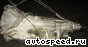���� Toyota Crown (JZS131, JZS141): ���� �5