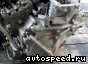 �������� Honda Odyssey (RB1), MLPA: ���� �3