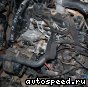��������� Volkswagen (VW) 1Z: ���� �4