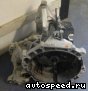 ���� Ford C-Max, Focus 2, 3 (QQDA, QQDB): ���� �6