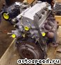 ��������� Honda D14A8: ���� �7