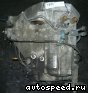 ���� Honda Orthia (EL1): ���� �5