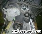 ��������� Volkswagen (VW) BLR, BLY, BVY, BVZ: ���� �3