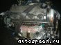 ��������� Honda D15B (Capa-GA4): ���� �5