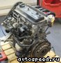 ��������� Volkswagen (VW) AEF: ���� �3
