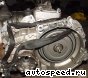 ����� Volkswagen (VW) Golf V (BLX): ���� �1