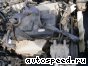 ��������� Mazda TF: ���� �3
