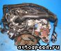 ��������� Volkswagen (VW) ADR: ���� �6