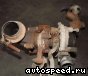 турбина Citroen Berlingo, Xsara 2.0 HDI: фото №1