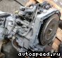 ���� Honda Civic (FD1), GNCA, GNBA: ���� �2