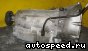 ���� Mercedes Benz E-class (W210.237), E230: ���� �4