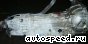 ���� Toyota Altezza, Altezza Gita (GXE15), Mark II, Verossa (GX115): ���� �2
