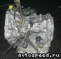 ���� Toyota Probox, Succeed (NCP50V): ���� �2