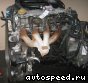 ��������� Opel C20NE: ���� �8