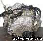 ���� Honda Accord (CM1, CM2, CM3, CL7, CL8, CL9), MGTA: ���� �2