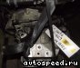 ���� Volkswagen (VW) Golf, Passat, Scirocco, Jetta (KRM): ���� �2