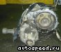 ���� Toyota Sprinter Carib (AE115G): ���� �1