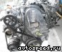 ��������� Honda F23A (RA6, RA7): ���� �5
