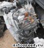 ���� Honda Civic (FD1), SPCA: ���� �2