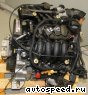 ��������� Volkswagen (VW) AEH, AKL, APF, AHL: ���� �3