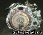 ���� Honda Accord Wagon (CF9, CF6, CH9): ���� �16