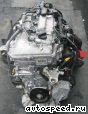 ��������� Toyota 2ZR-FXE (ZVW30): ���� �7