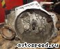 ���� Volkswagen (VW) Polo IV 1.9TDI (AXR, ATD, BMT): ���� �1