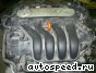 ��������� Volkswagen (VW) BLR, BLY, BVY, BVZ: ���� �1