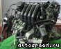 ��������� Volkswagen (VW) ADR: ���� �3