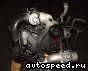 ��������� Volkswagen (VW) AMF, BAY: ���� �6