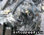 ���� Toyota Corolla Spacio (ZZE122N), Wish (ZNE10G): ���� �5